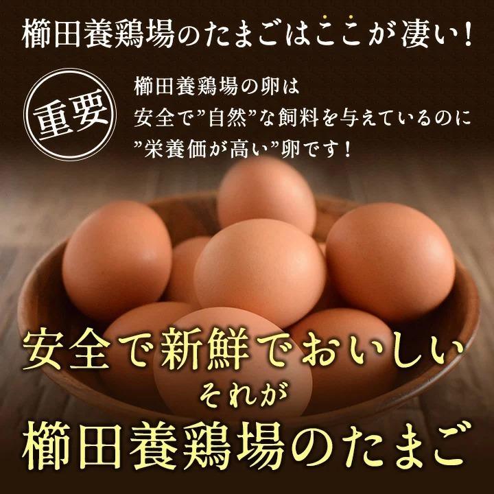 ＼臭みのないおいしい卵／くしたま 赤卵【40個入り(36個＋破卵保障4個)】櫛田養鶏場の自家配合飼料を食べてうまれた美味しい赤卵 卵 送料無料｜kushida-yo-kei｜11