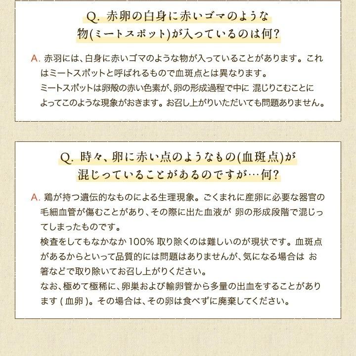 ＼臭みのないおいしい卵／くしたま 赤卵【40個入り(36個＋破卵保障4個)】櫛田養鶏場の自家配合飼料を食べてうまれた美味しい赤卵 卵 送料無料｜kushida-yo-kei｜17