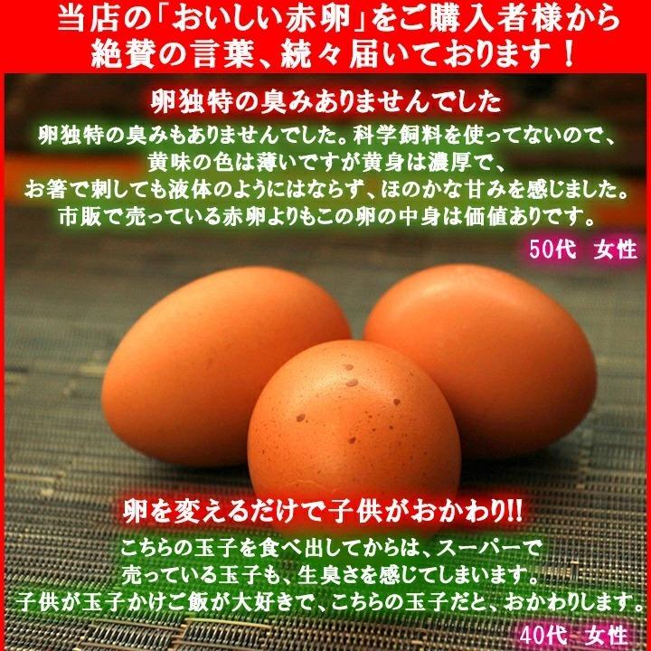 普段使いにおススメ 櫛田養鶏場が誇るおいしい赤卵 80個入り(内10個破卵保障) コスト削減！トレイにて発送！｜kushida-yo-kei｜04