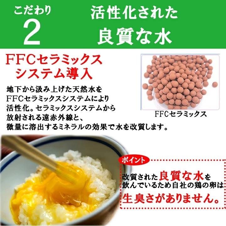 普段使いにおススメ 櫛田養鶏場が誇るおいしい赤卵 80個入り(内10個破卵保障) コスト削減！トレイにて発送！｜kushida-yo-kei｜08