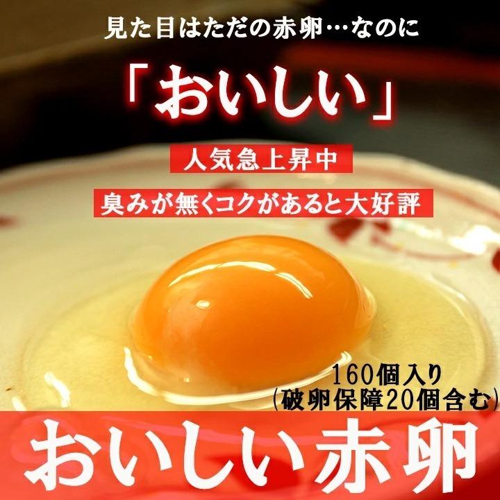 普段使いにおススメ☆業務用☆ 送料無料 櫛田養鶏場のくしたま赤卵　160個(140個＋20個割れ保障)｜kushida-yo-kei｜02