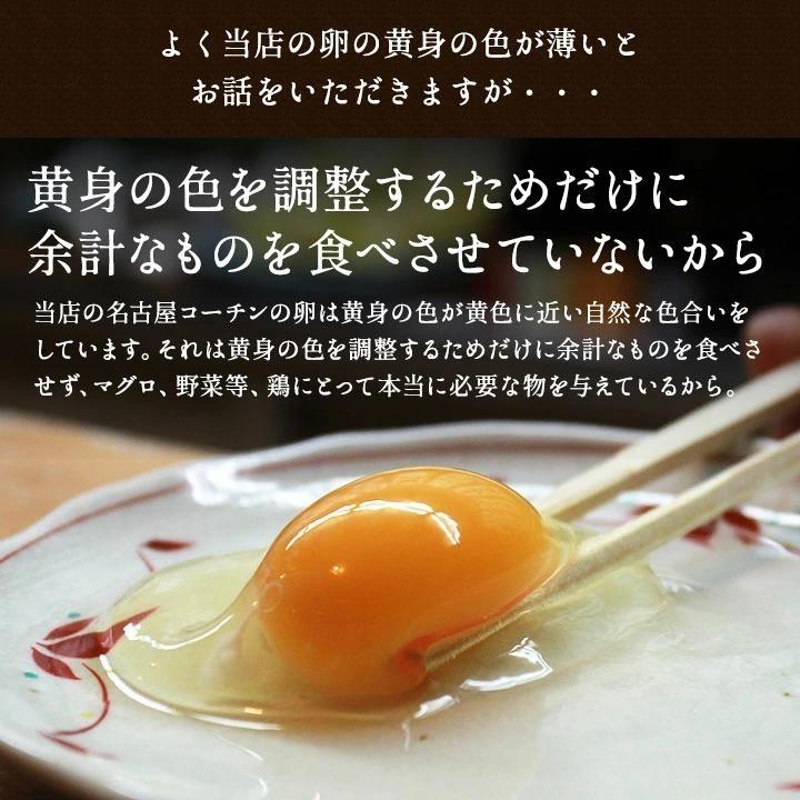 普段使いにおススメ☆業務用☆ 送料無料 櫛田養鶏場のくしたま赤卵　160個(140個＋20個割れ保障)｜kushida-yo-kei｜17