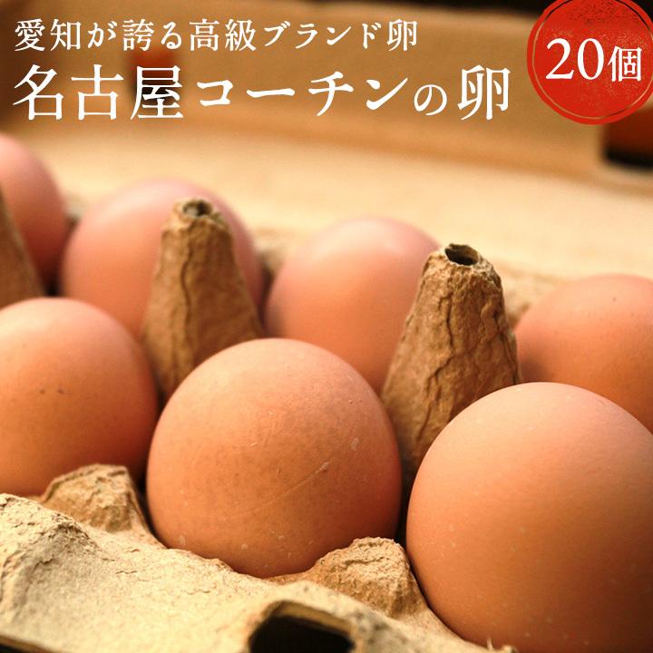 卵 20個 タマゴ たまご 名古屋コーチンの卵 20個入り(18個+破卵 卵 20個 タマゴ たまご 名古屋コーチンの卵 20個入り(18個+破卵