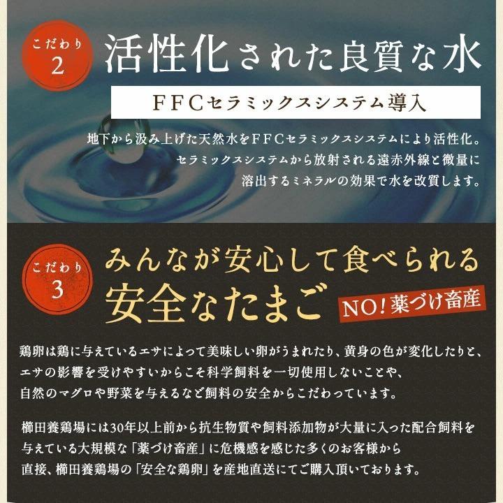 贈答用 愛知が誇る高級ブランド卵☆名古屋コーチンの卵 20個入り(破卵保障2個含む) 食品 卵 鶏卵 高級卵 玉子 たまご 贈答卵 お中元 お歳暮 内祝 ギフト｜kushida-yo-kei｜09