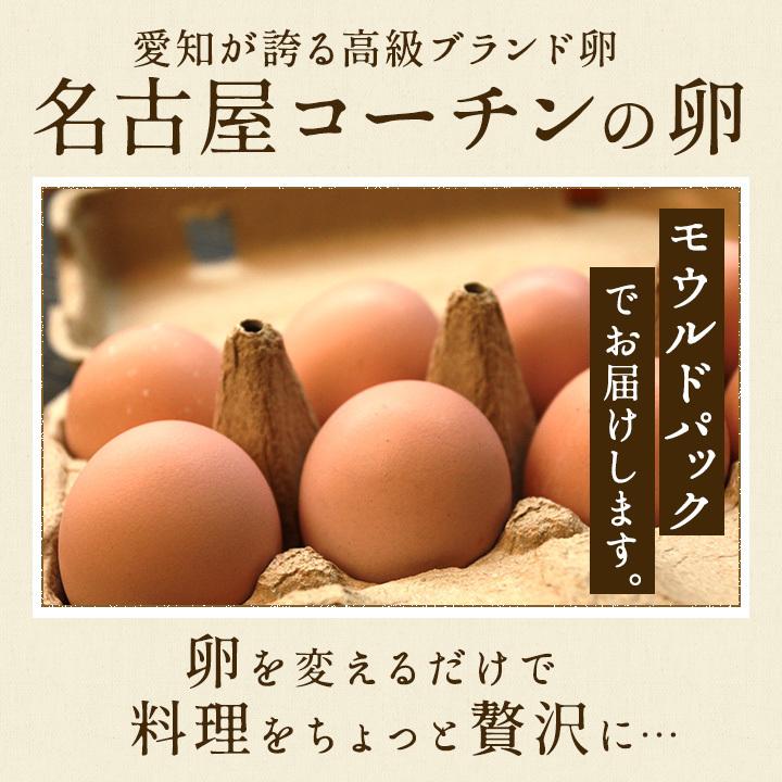 卵 20個 タマゴ たまご 名古屋コーチンの卵 20個入り(18個+破卵保障2個