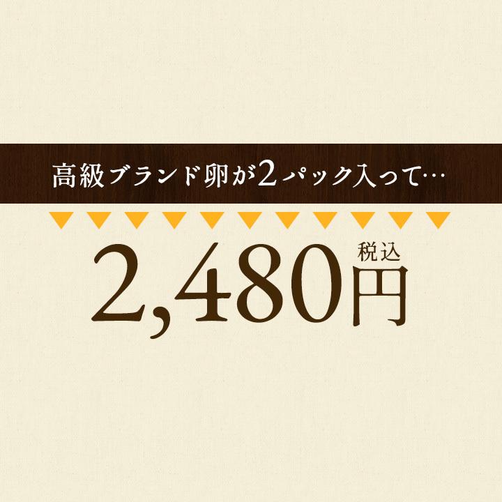 卵 20個 タマゴ たまご 名古屋コーチンの卵  20個入り(18個+破卵保障2個) 櫛田養鶏場 養鶏場直送 超新鮮 愛知県産 ブランド｜kushida-yo-kei｜04