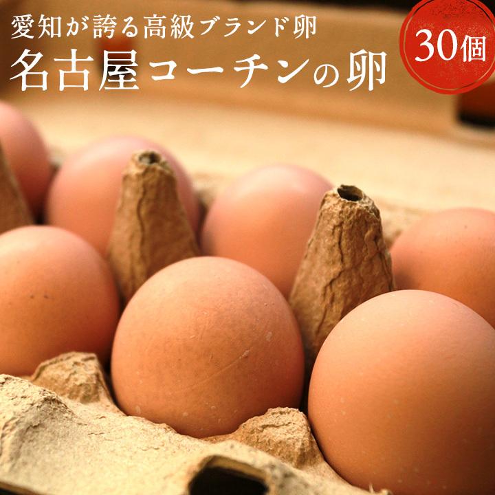 卵 30個 タマゴ たまご 名古屋コーチンの卵 30個入り(27個+破卵保障3個