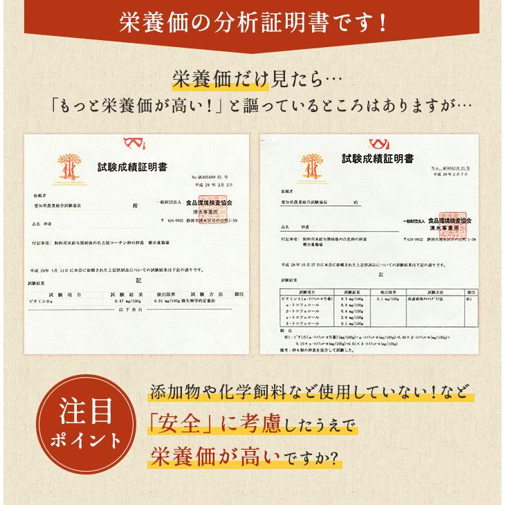 卵 30個 タマゴ たまご 名古屋コーチンの卵 30個入り(27個+破卵保障3個) 櫛田養鶏場 養鶏場直送 超新鮮 愛知県産 ブランド｜kushida-yo-kei｜12