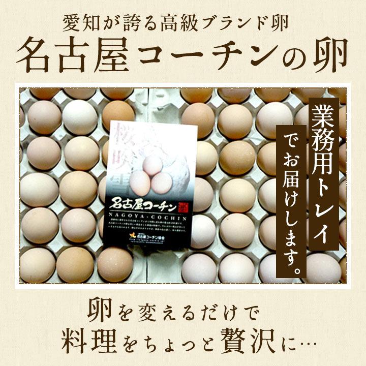 名古屋コーチン 有精卵 100個 保証4個含む product_ngy060.jpg