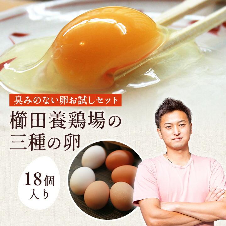 卵 お試し たまご 養鶏場直送 おひとり様1回限り 三種食べ比べお試し 