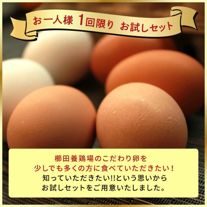 卵 お試し たまご 養鶏場直送 おひとり様1回限り 三種食べ比べお試し 