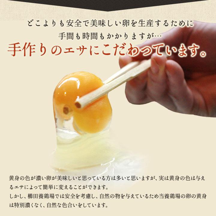 卵 お試し たまご 養鶏場直送 おひとり様1回限り 三種食べ比べお試しセット 合計18個入り（名古屋コーチンの卵6個＋くしたま赤卵6個＋くしたま白卵6個）｜kushida-yo-kei｜17