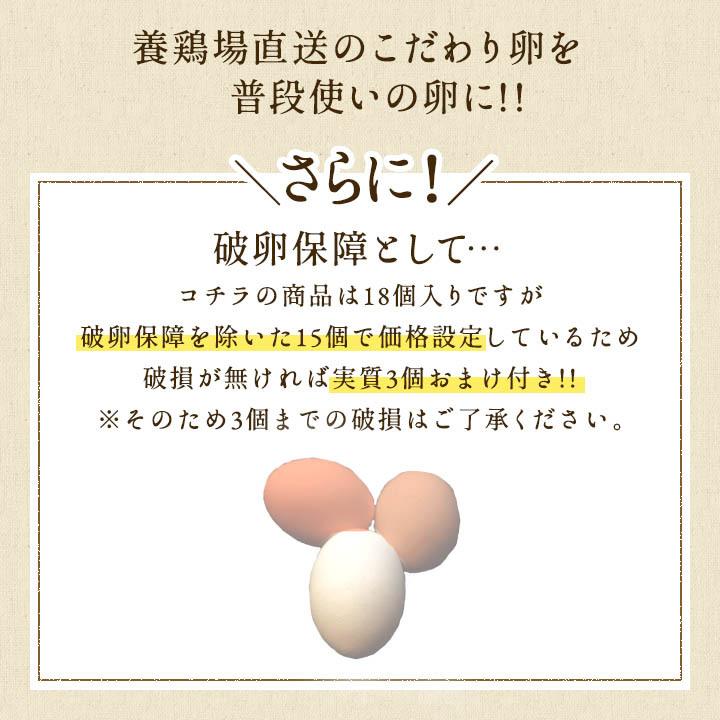 卵 お試し たまご 養鶏場直送 おひとり様1回限り 三種食べ比べお試し 