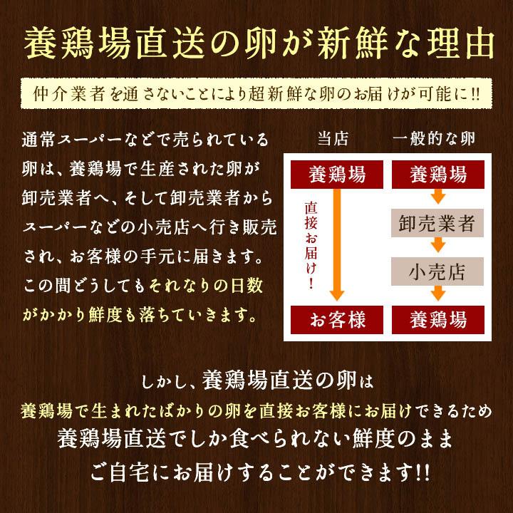 卵 お試し たまご 養鶏場直送 おひとり様1回限り 三種食べ比べお試しセット 合計18個入り（名古屋コーチンの卵6個＋くしたま赤卵6個＋くしたま白卵6個）｜kushida-yo-kei｜05