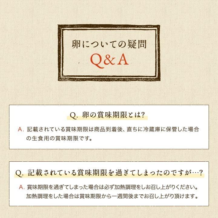 白卵でも美味しい！！臭みのないおいしい卵 くしたま 白卵40個入り(36個＋破卵保障4個) 櫛田養鶏場のこだわりの自家配合飼料を食べてうまれた美味しい白卵｜kushida-yo-kei｜18