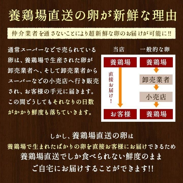 白卵でも美味しい！！臭みのないおいしい卵 くしたま 白卵40個入り(36個＋破卵保障4個) 櫛田養鶏場のこだわりの自家配合飼料を食べてうまれた美味しい白卵｜kushida-yo-kei｜05