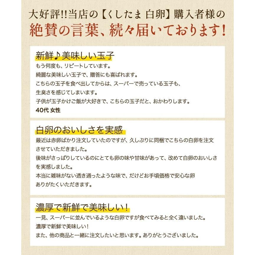 白卵でも美味しい！！臭みのないおいしい卵 くしたま 白卵40個入り(36個＋破卵保障4個) 櫛田養鶏場のこだわりの自家配合飼料を食べてうまれた美味しい白卵｜kushida-yo-kei｜08