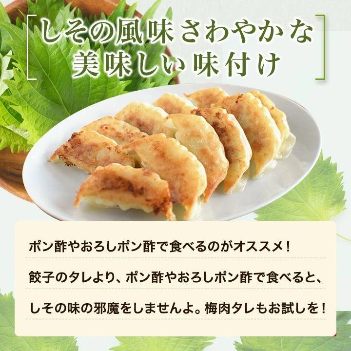 お一人様1回限り お試し！ 鶏しそ餃子 30個入り(30個入り×1袋) 冷凍餃子 餃子 送料無料 お試し 生餃子 冷凍生餃子 食品 惣菜 中華 鶏肉｜kushida-yo-kei｜04