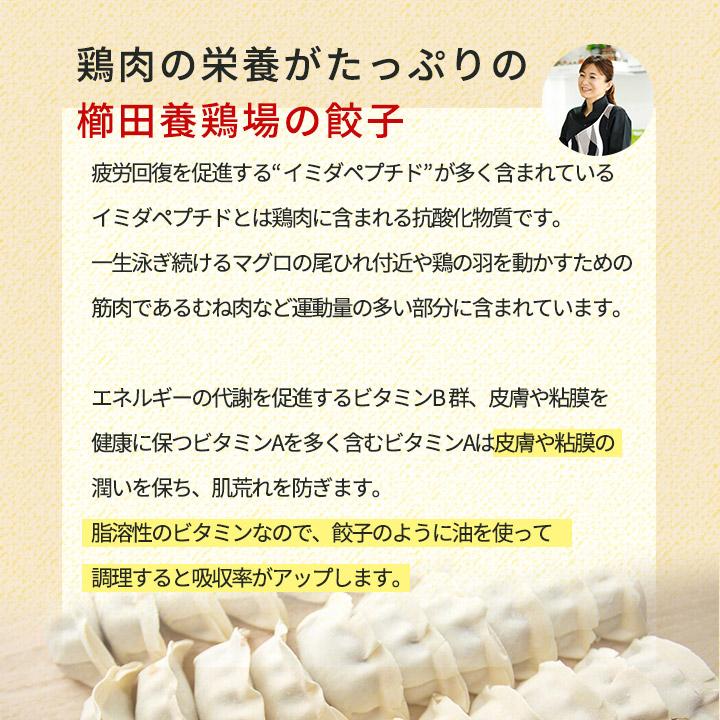 お一人様1回限り お試し！ 鶏しそ餃子 30個入り(30個入り×1袋) 冷凍餃子 餃子 送料無料 お試し 生餃子 冷凍生餃子 食品 惣菜 中華 鶏肉｜kushida-yo-kei｜08