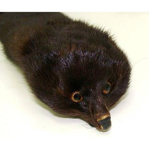 新品未使用✩フード有りミンクファーマフラー✩ポケット有り✩ハイグレード✩留め具有 シェアード ミンク ロング ファー マフラー フリンジ付 : エル