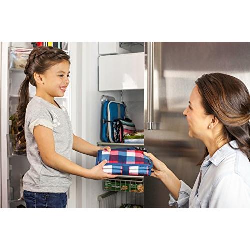 パックイット 保冷 ランチ クーラーバッグ 4.5L バッファローチェック PKT-PC-BUF パックイット 保冷 ランチ クーラーバッグ 5L バッファローチェック PKT PC BUF