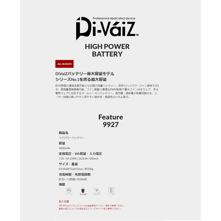2021年度版 中国産業(株) DiVaiZ バッテリーセットのみ ハイパワー