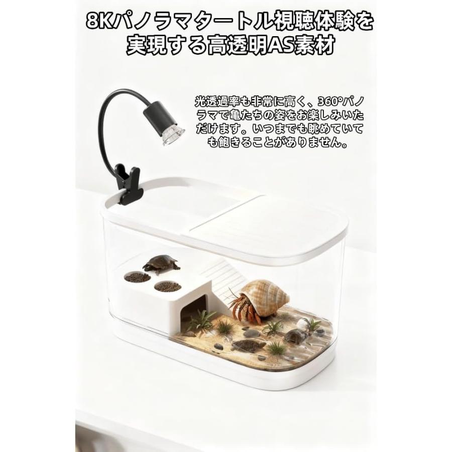 ヤドカリ飼育箱 小型高級ヴィラ カニ専用生態水槽 登り台 カメ飼育
