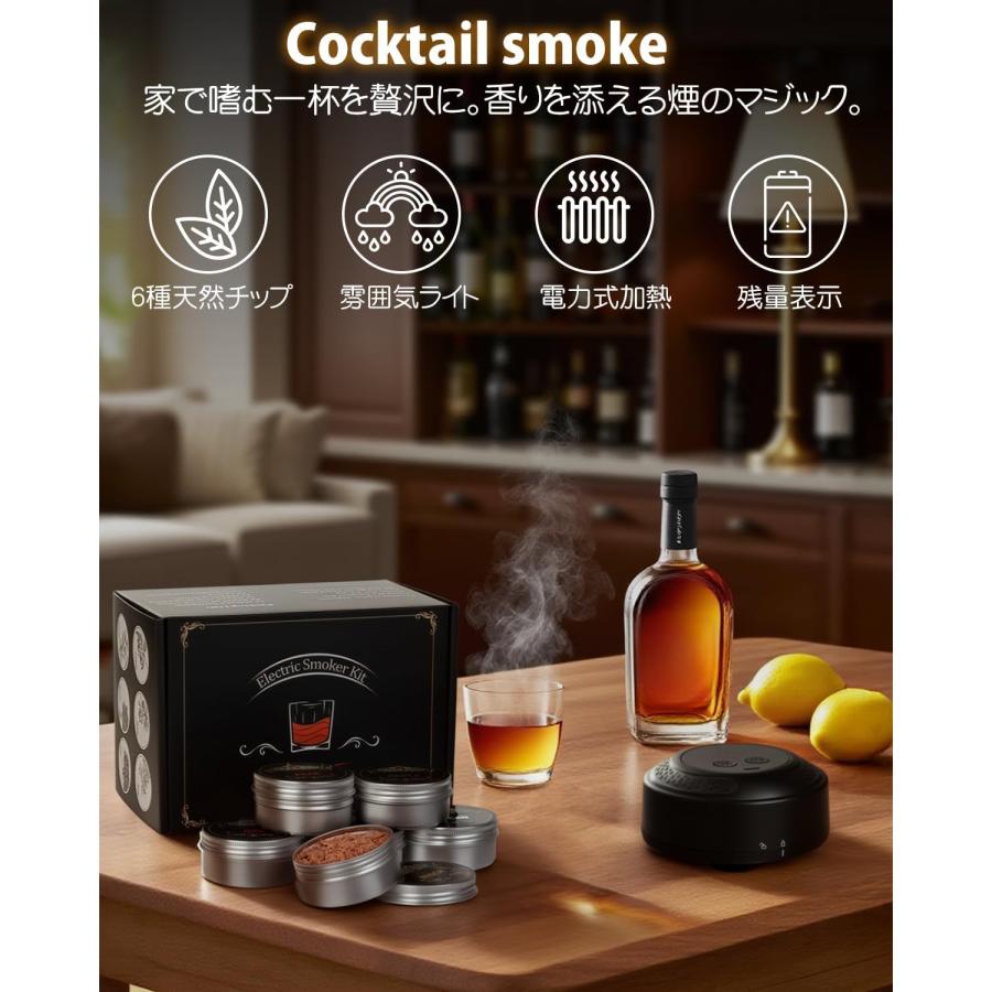 グラストップスモーカー 電気式 燻製器 家庭用 ウイスキー カクテル
