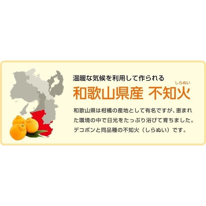 デコポンと同品種 しらぬい 不知火 8kg（箱込約8kg）和歌山県産 訳あり・ご家庭用 送料無料（東北・北海道・沖縄県除く）（配達日指定不可）｜kusunokidou｜03