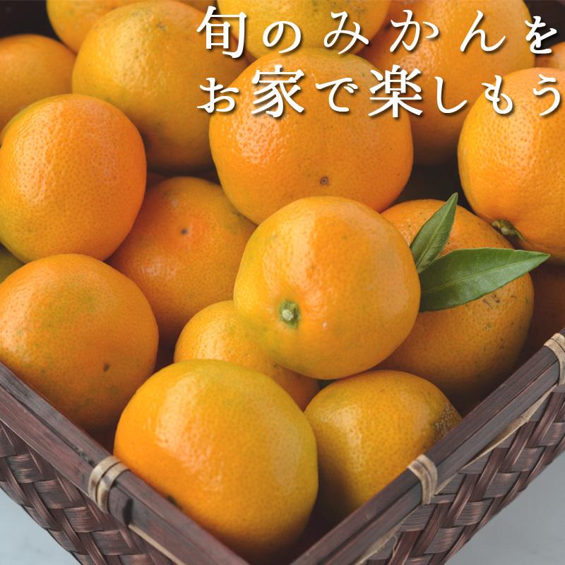 みかん 小玉(3S〜Sサイズ)3kg(箱込約3kg)和歌山県産 訳あり・ご家庭用 送料無料(東北・北海道・沖縄県除く)(配達日指定不可) :mikansss3k:よろずストア くすのき堂 - 通販 - Yahoo!ショッピング みかん 小玉(3S〜Sサイズ)3kg(箱込約3kg)和歌山県産 訳あり・ご家庭用 送料無料(東北・北海道・沖縄県除く)(配達日指定不可) :mikansss3k:よろずストア くすのき堂 - 通販 - Yahoo!ショッピング