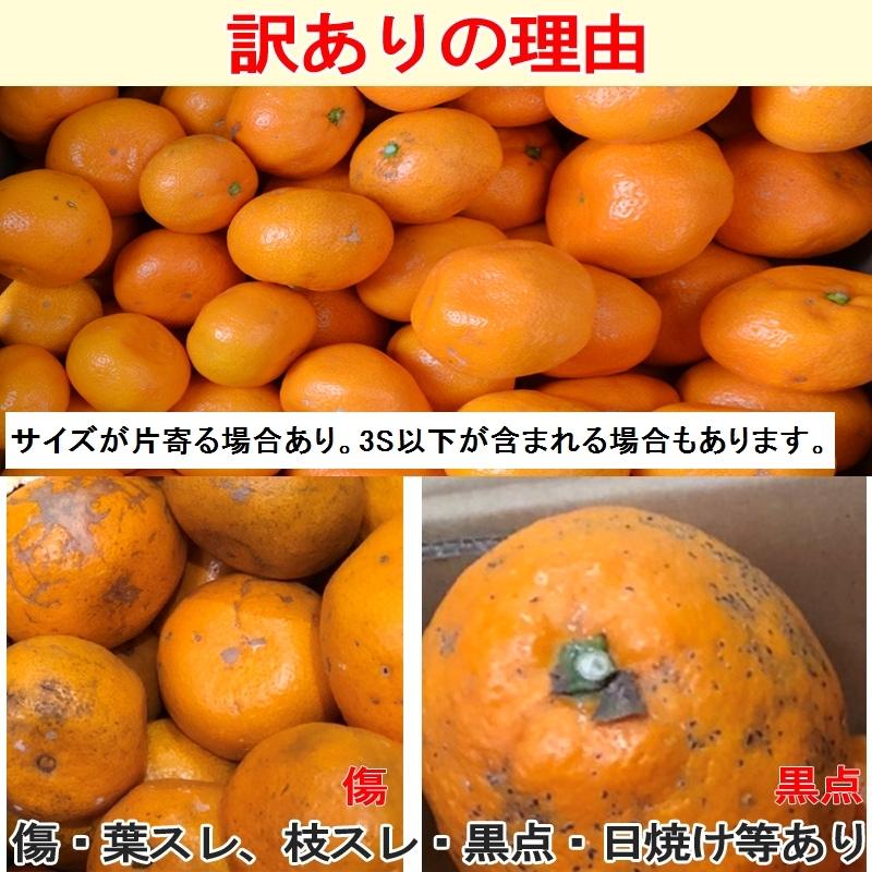みかん 小玉(3S〜Sサイズ)5kg(箱込約5kg)和歌山県産 訳あり・ご家庭用 送料無料(東北・北海道・沖縄県除く)(配達日指定不可) :mikansss5:よろずストア くすのき堂 - 通販 - Yahoo!ショッピング みかん 小玉(3S〜Sサイズ)5kg(箱込約5kg)和歌山県産 訳あり・ご家庭用 送料無料(東北・北海道・沖縄県除く)(配達日指定不可) :mikansss5:よろずストア くすのき堂 - 通販 - Yahoo!ショッピング