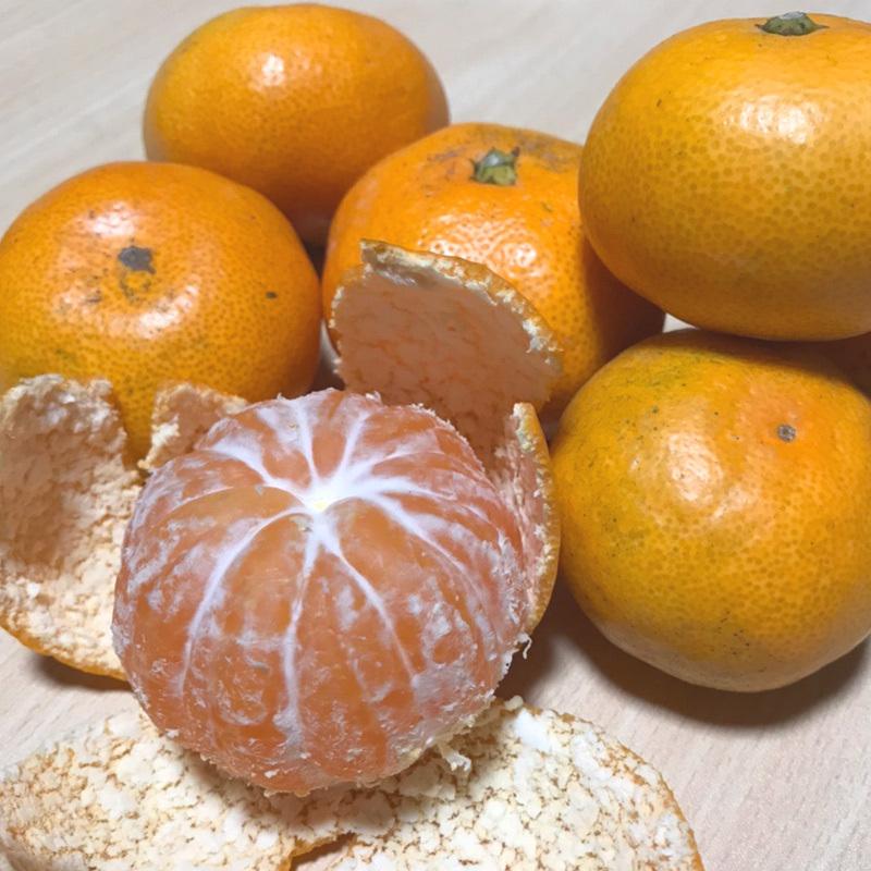 みかん 小玉(3S〜Sサイズ)5kg(箱込約5kg)和歌山県産 訳あり・ご家庭用 送料無料(東北・北海道・沖縄県除く)(配達日指定不可) :mikansss5:よろずストア くすのき堂 - 通販 - Yahoo!ショッピング みかん 小玉(3S〜Sサイズ)5kg(箱込約5kg)和歌山県産 訳あり・ご家庭用 送料無料(東北・北海道・沖縄県除く)(配達日指定不可) :mikansss5:よろずストア くすのき堂 - 通販 - Yahoo!ショッピング