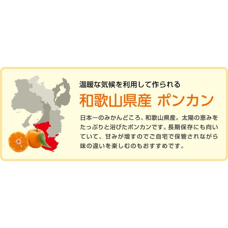 ポンカン 8kg（箱込約8kg）和歌山県産 訳あり・ご家庭用 送料無料（東北・北海道・沖縄県除く）（配達日指定不可）｜kusunokidou｜03