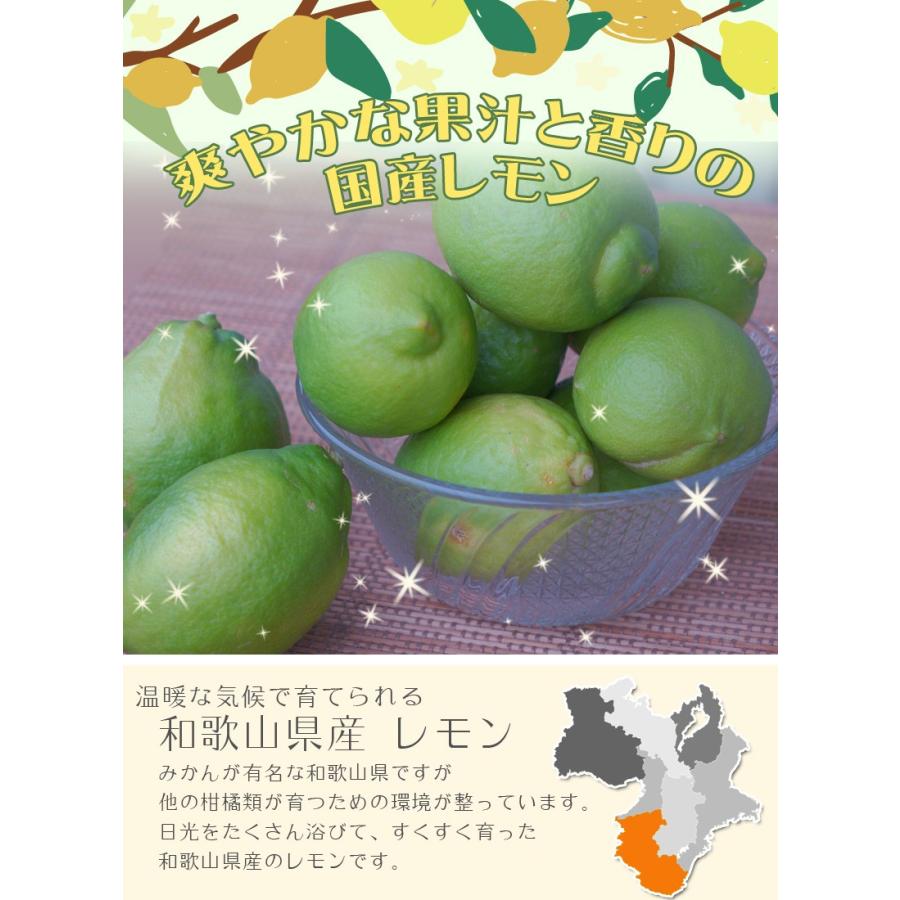 レモン 10kg（箱込約10kg）国産 訳あり・ご家庭用 送料無料（東北
