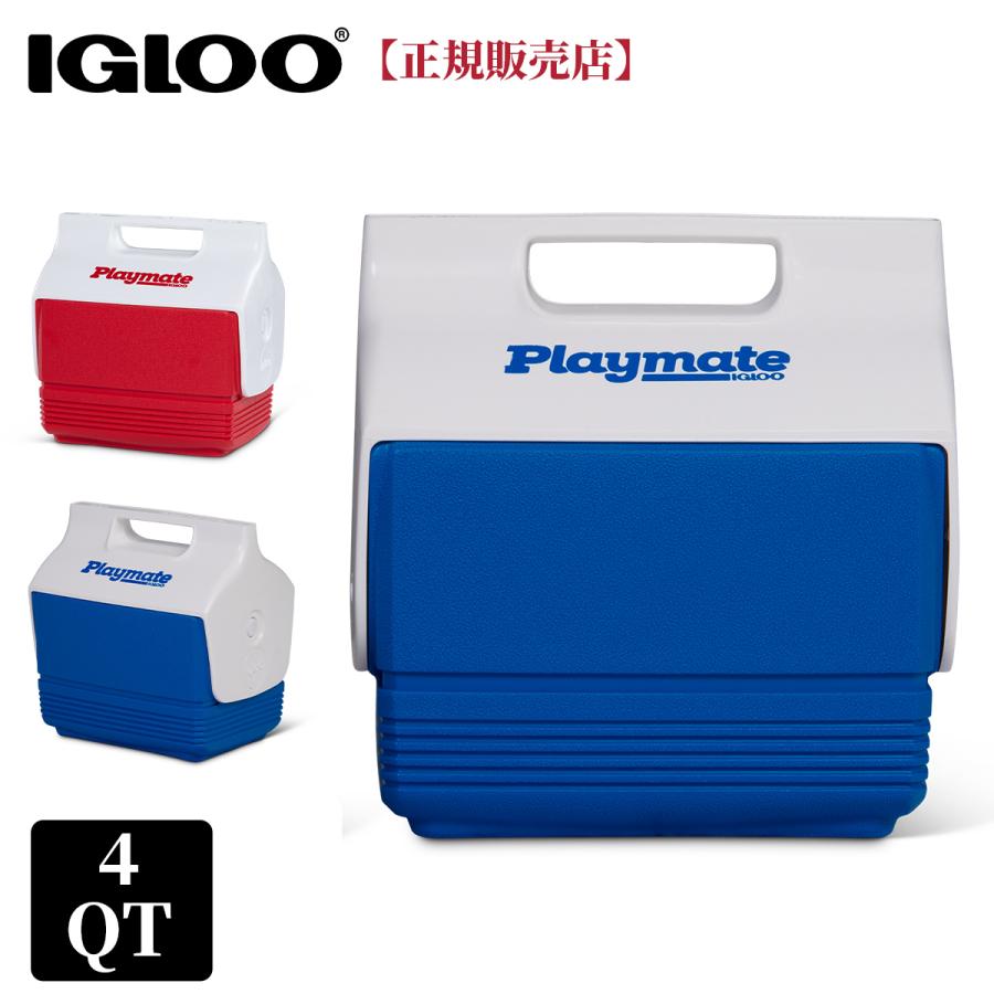 igloo IGLOO イグルー クーラーボックス 小型 3L イグルー igloo IGLOO イグルー クーラーボックス 小型 3L イグルー