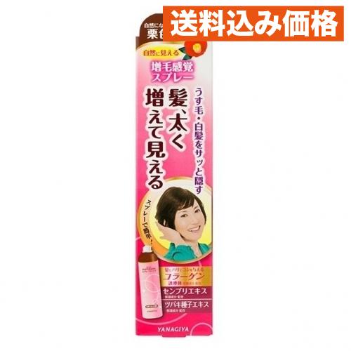 Lトップシェードスプレーウィッグ 栗色 : クスリのアオキhappy ヤフー