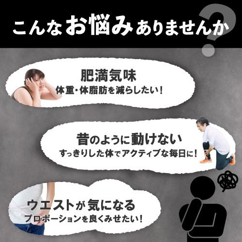 ダイエットサプリ hiddo shibo700-01-02.jpg