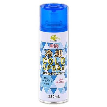 くらしリズム 瞬間冷却コールドスプレー (220mL) 冷却 アイシング