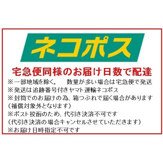 （ネコポス送料無料）（第2類医薬品）リフェンダフェルビナク（６枚）２個セット（セ税対象商品）｜kusurinohiratuka｜02