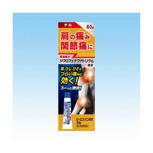 第2類医薬品】大石膏盛堂 ビーエスバンDXゲル 60g※ボルタレン
