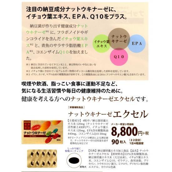 マグロ様　確認用 ナットウキナーゼエクセル 1個 日新薬品 : まがぬまの店 - 通販