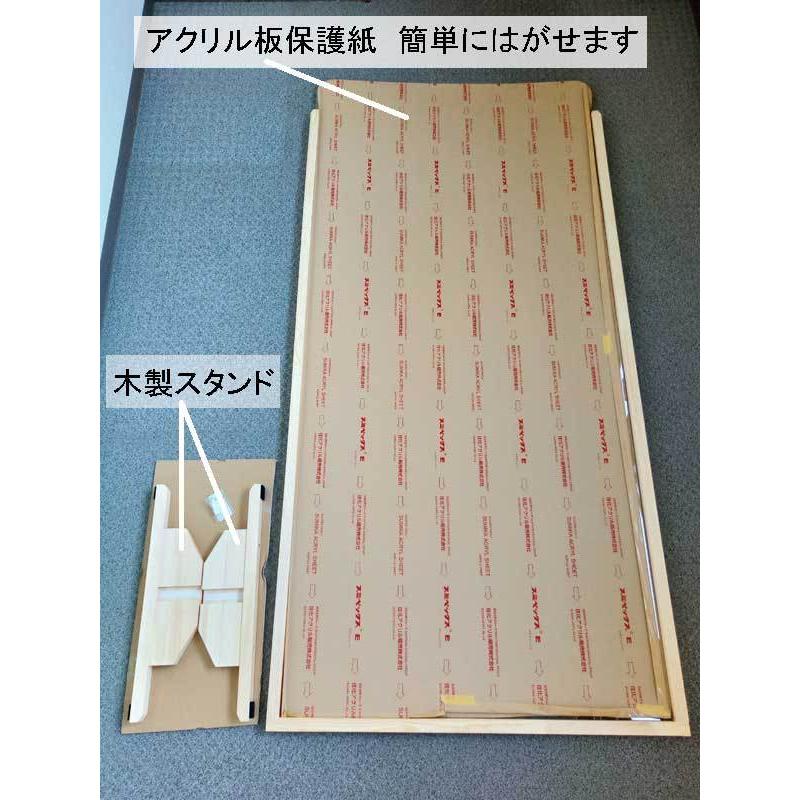 大型仕切り板×5個セット