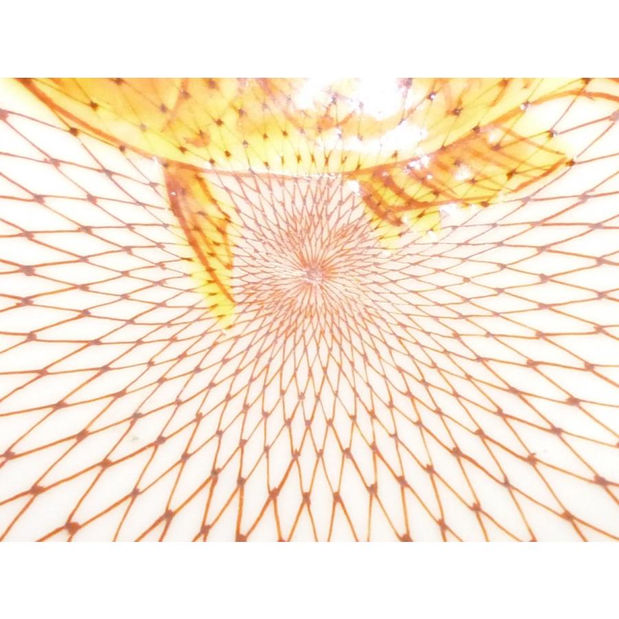 九谷焼 飾り盃 赤絵細描網紋 鯛 黄地赤彩 桐箱入り ギフト