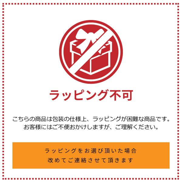 LOGOS ロゴス コンテナ 収納ボックス たためるストロング