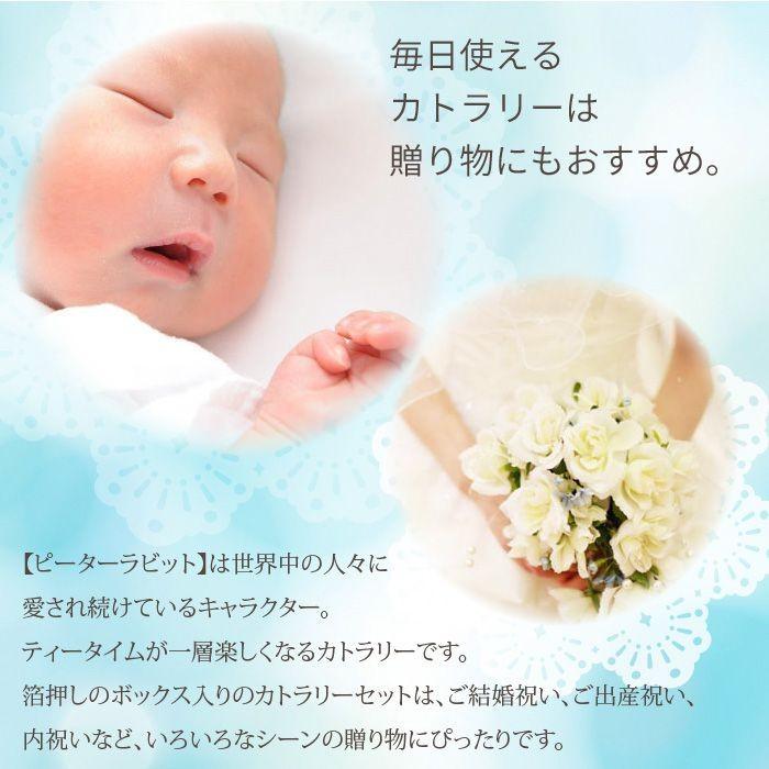 値下げ】 スプーン・フォーク 10本 セット 銀仕上 ステンレス 皿