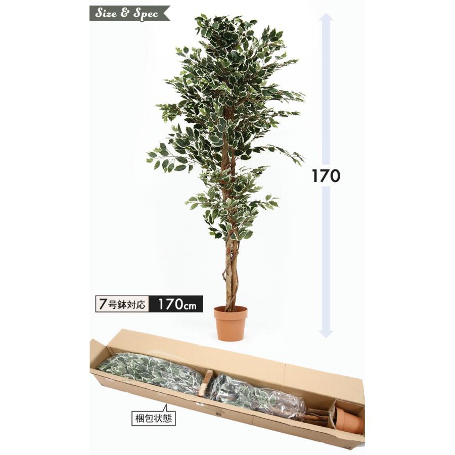 観葉植物 人工 フェイクグリーン フィカス 高さ 170cm 7号鉢対応 造花 オフィス 観葉 植物 鉢植え インテリア 室内 鉢 目隠し リビング M5 Mgkfgb クツログ 通販 Yahoo ショッピング