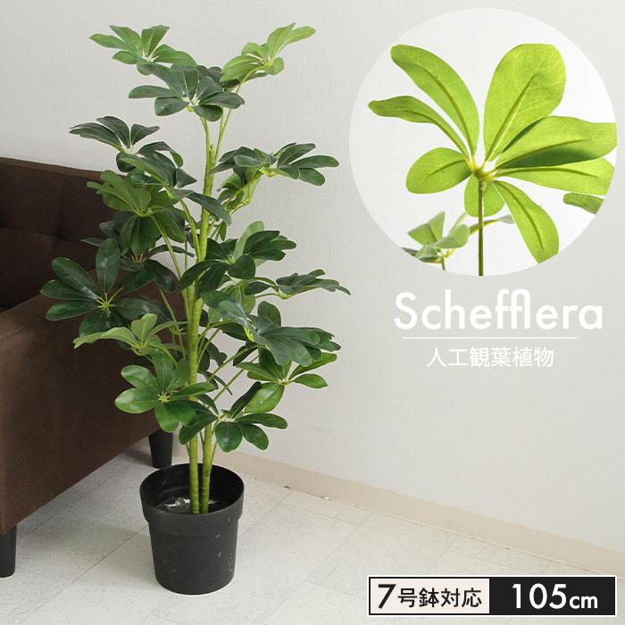 観葉植物 人工 フェイクグリーン ヤドリフカノキ 高さ 1cm 7号鉢対応 人工 造花 オフィス 観葉 植物 鉢植え インテリア 室内 鉢 リビング M5 Mgkfgb クツログ 通販 Yahoo ショッピング