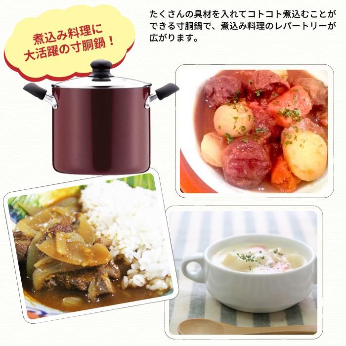 シチューポット 21cm 寸胴鍋 鍋 なべ 両手鍋 カレー シチュー 深型 IH