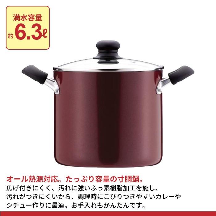シチューポット 21cm 寸胴鍋 鍋 なべ 両手鍋 カレー シチュー 深型 IH