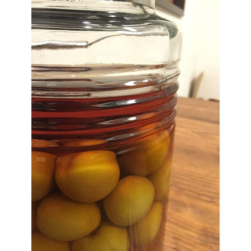 世界的に有名な アデリア 梅酒瓶 保存容器 保存瓶 Mcコンテナー5l レードル付 果実酒瓶 ステンレスキャップ ガラス瓶 梅瓶 日本製 817 食品保存容器 Www Cognitiva La